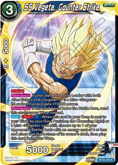 SS VEGETA, COUNTER STRIKE